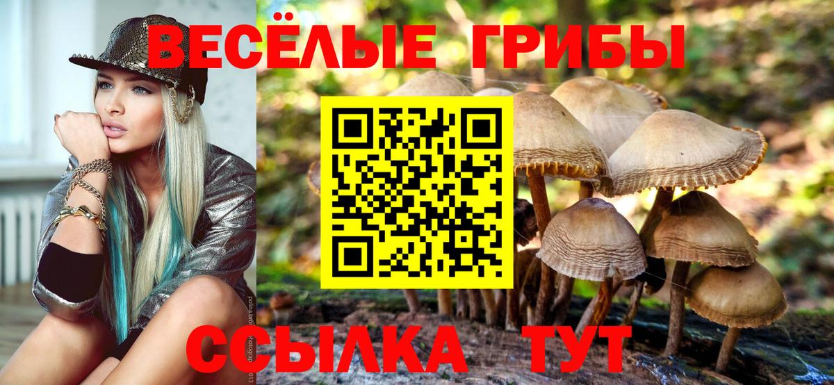 Галлюциногенные грибы мицелий Ярцево